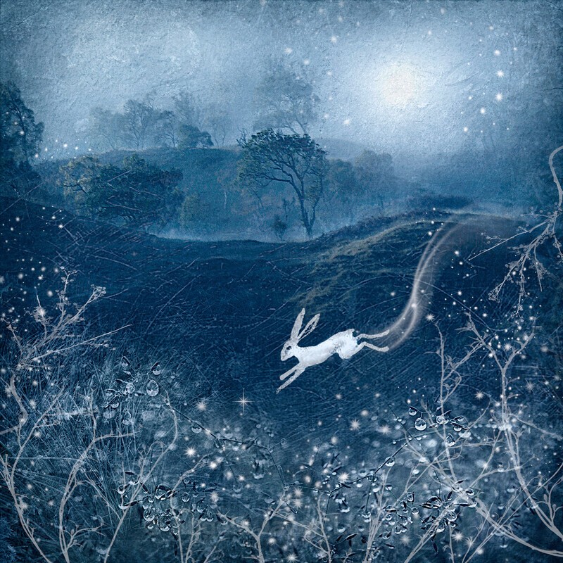  - Winter Images