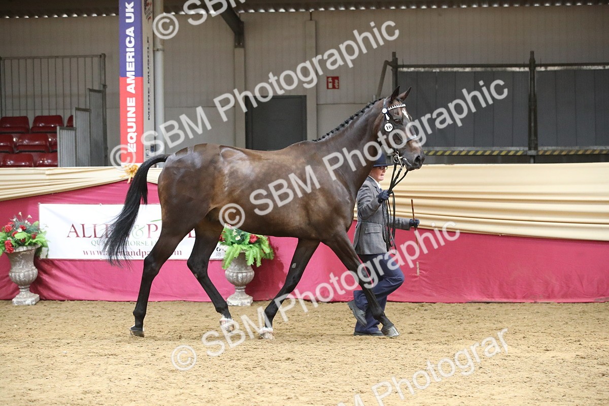 SBM_05480 - Class 9R - Regional IH Pre-Vet