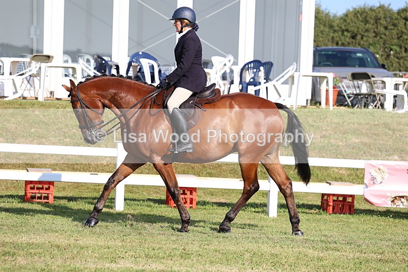 3E7A5512 - Class 2: Rising Star Large Hack/Riding Horse