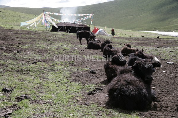  - TIBET