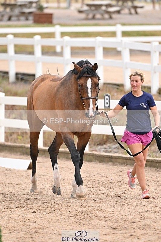 250716-151127-01737 - Trot Up 2.30 to 3.30