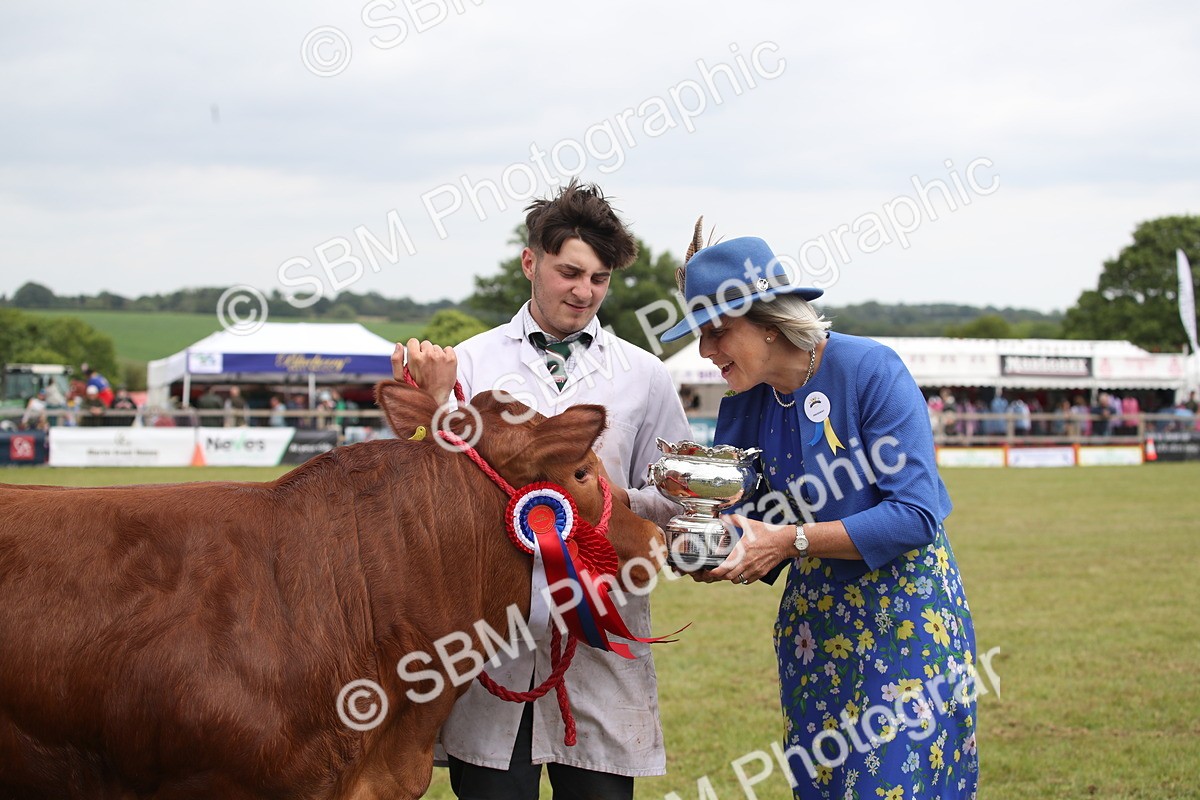 SBM_07939 - Grand Parade