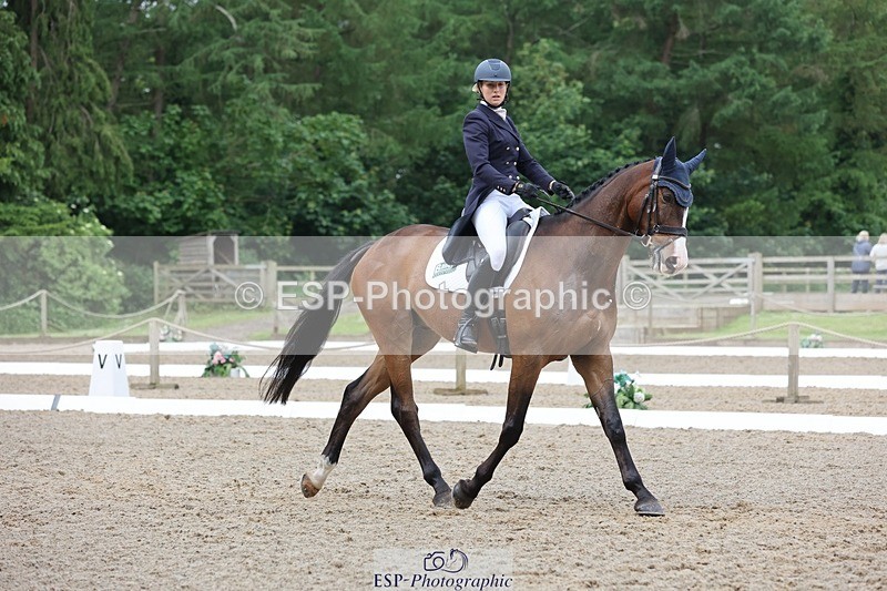 240523-104220-03384 - 214-DSH_GOLDEN_EYE-Lucinda_Mesquita