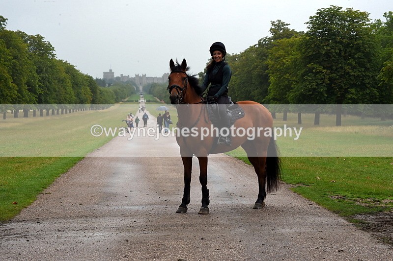 TT3_8823 - Time at Crossing 12:55 to 15:02