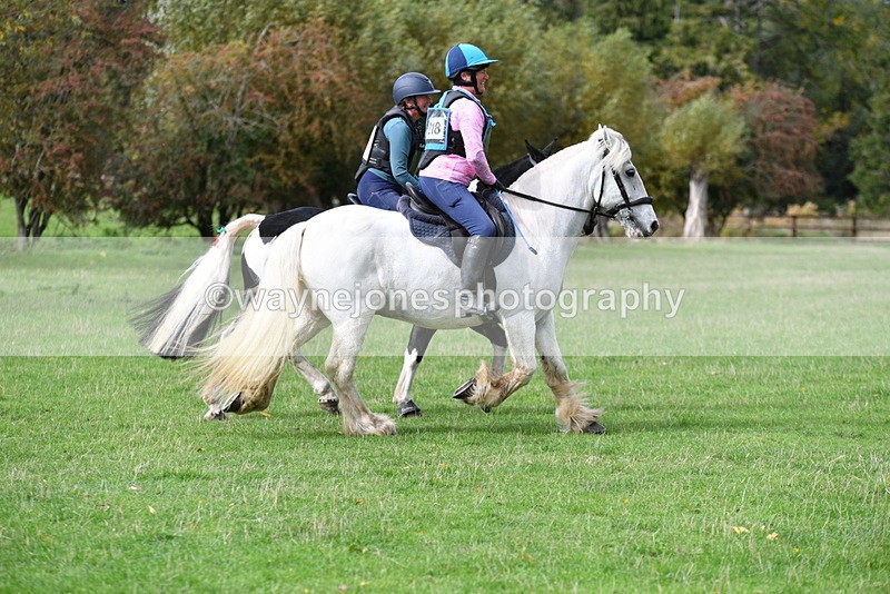 WJ5_0009 - Time 13:25 to 13:58