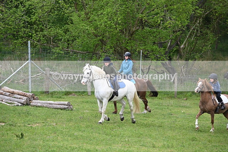 WJ6_3014 - A Camera