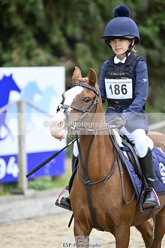 250820A-115716-03980 - Round 1, 11am to End