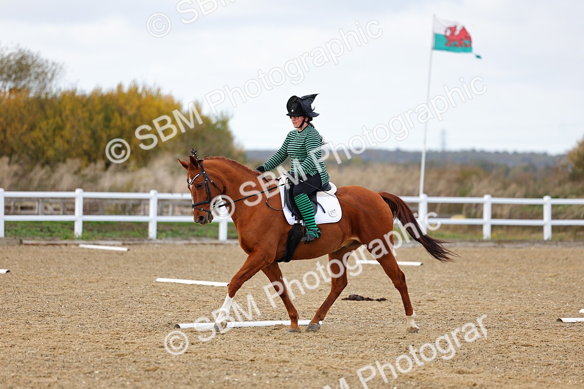 SBM_002598 - Class 8-11 - Novice 1-E1