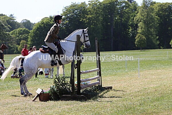 IMG_4488 - Working Hunter