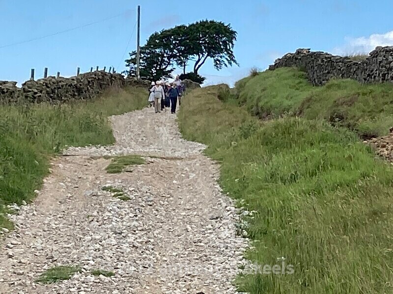 047 Heading halfway way down  towards Middlemoor - The Nidderdale Way Collection