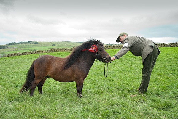 4 - Moniaive Horse Show 2010