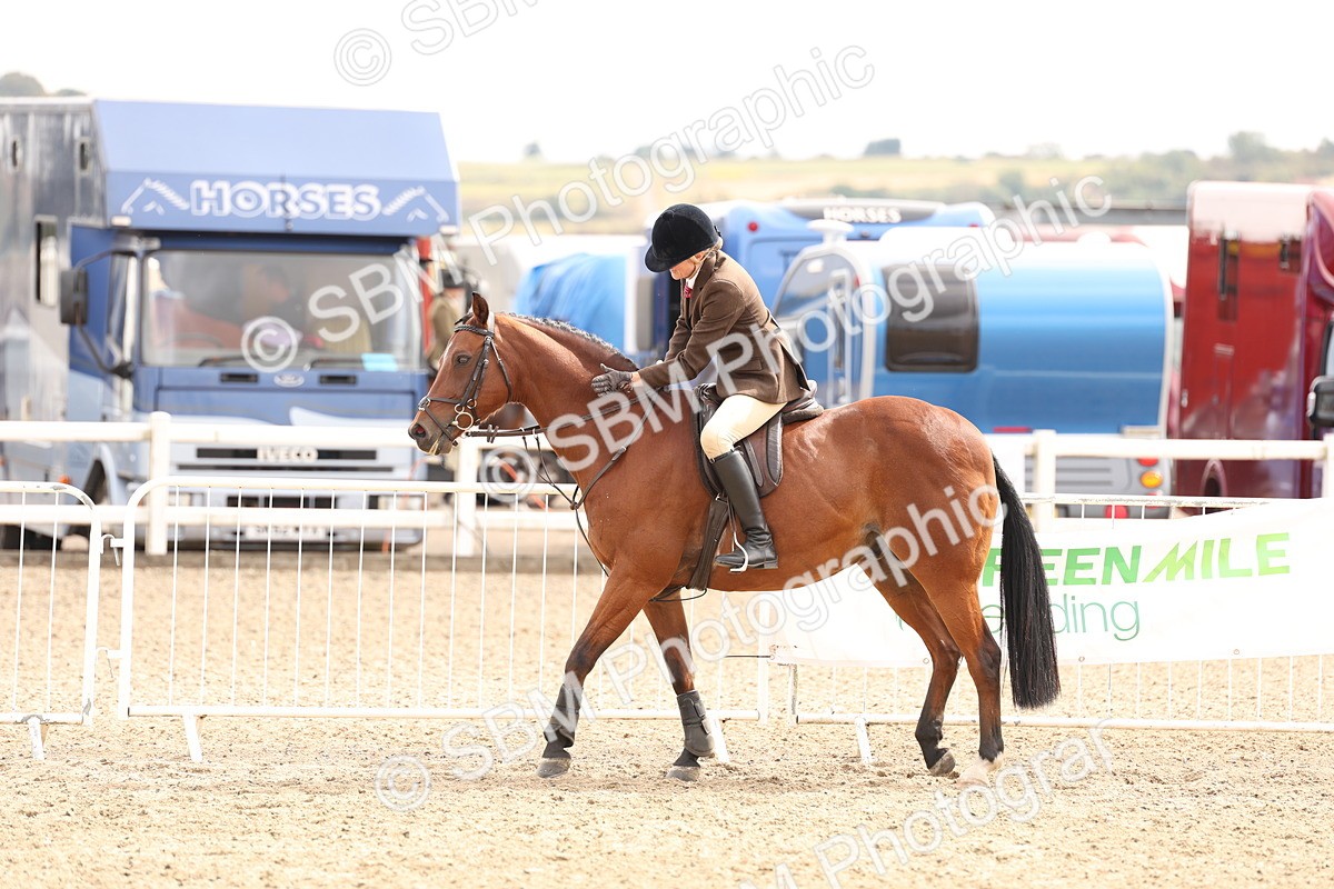 SBM_05165 - Class 56a -  Style & Performance - 50cm (15-19)