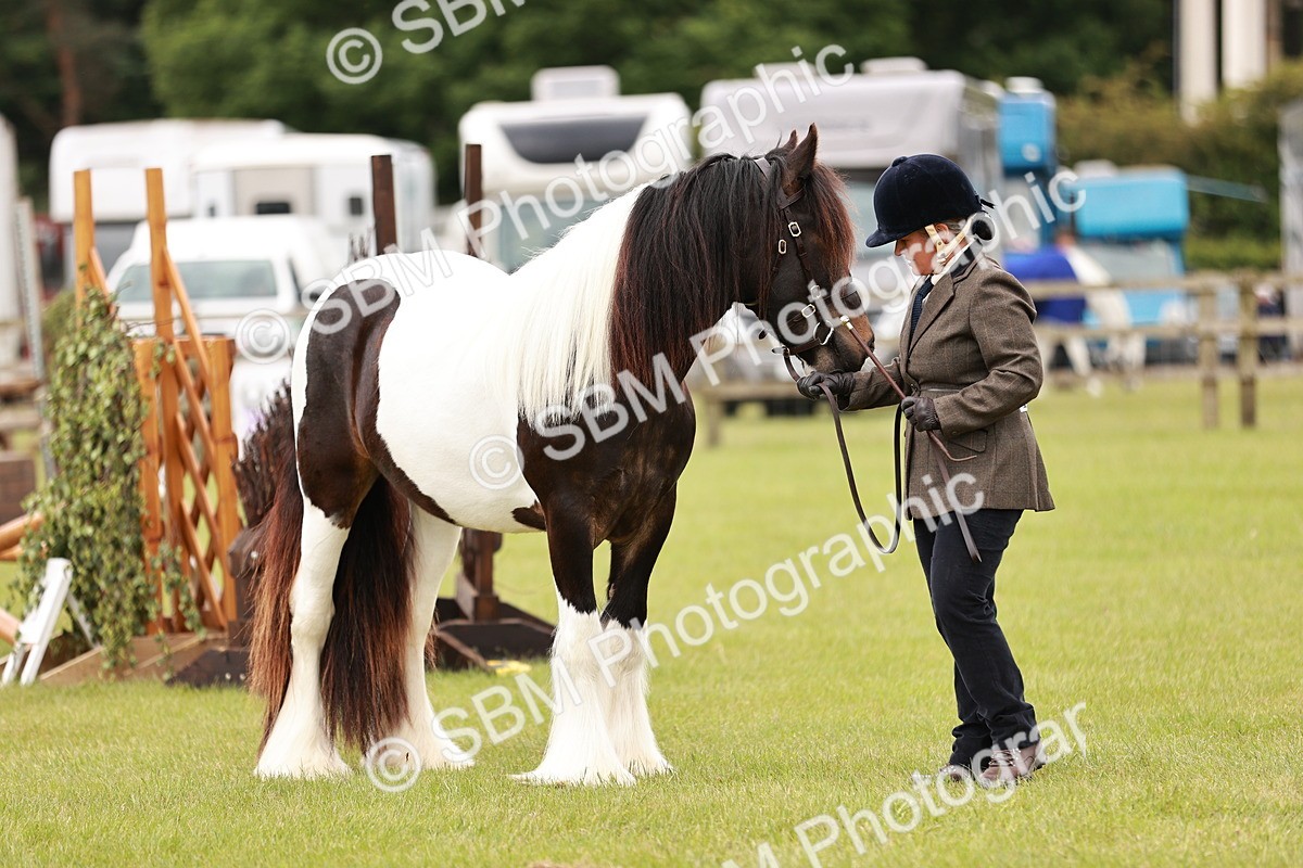 SBM_05995 - Class 39-41 TGCA In Hand and Ridden