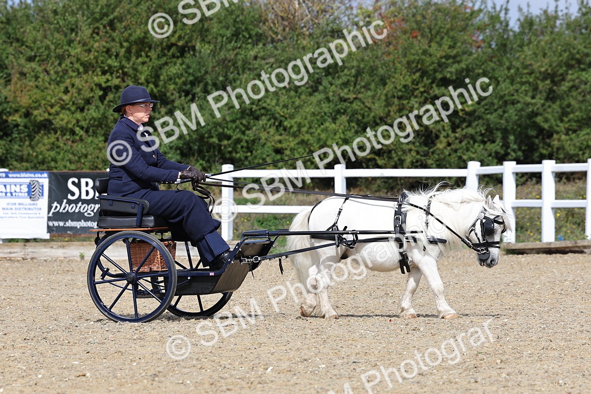 SBM_001101 - Class 14 - Shetland Ponies and Minatures