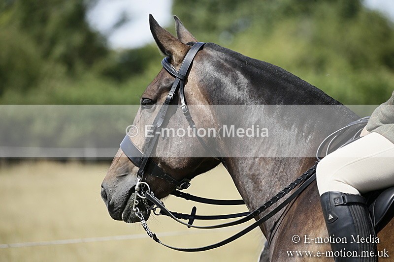 LP220718-9 - Roving Camera BVRC Show 2018