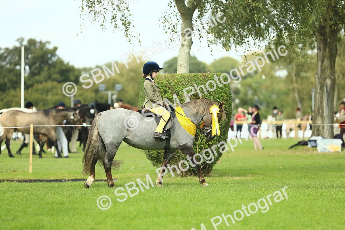 SBM_44851 - Working Hunter Pony Supreme Championship