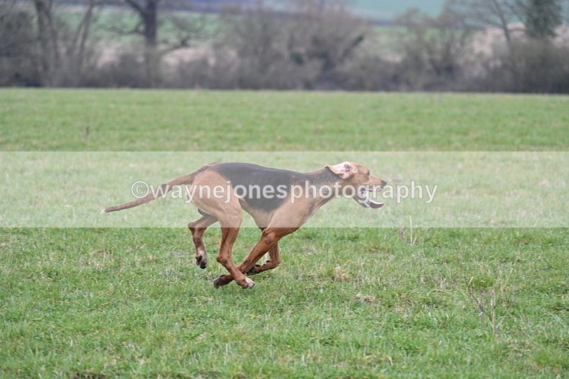 WJ7_7925 - A Camera