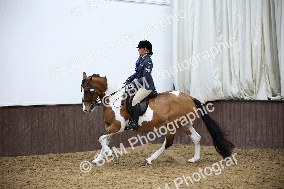 5K7A6121 - Class 48 - Ridden Mare