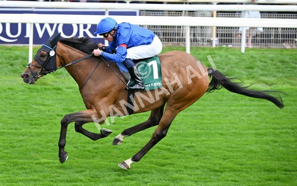 220825-070 Trawlerman - Race 2 2.25pm Weatherbys Lonsdale Cup Stakes