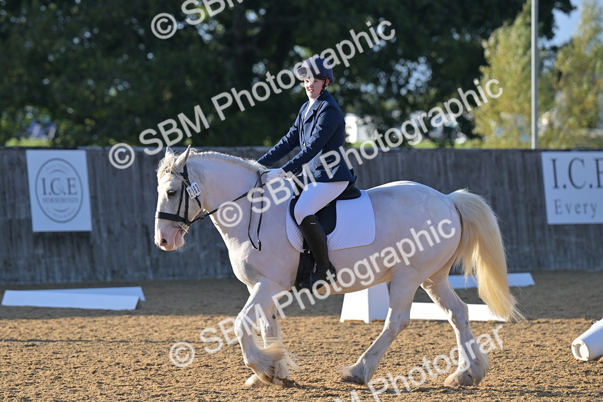 SBM_13179 - D3 - Small Tour Championship Intro 3