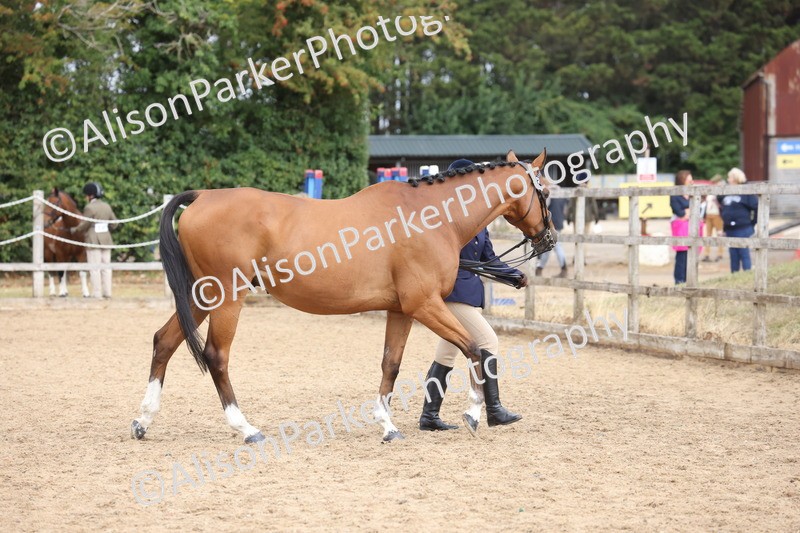 20260831-1894 - Class 5 - Retraining of Racehorses