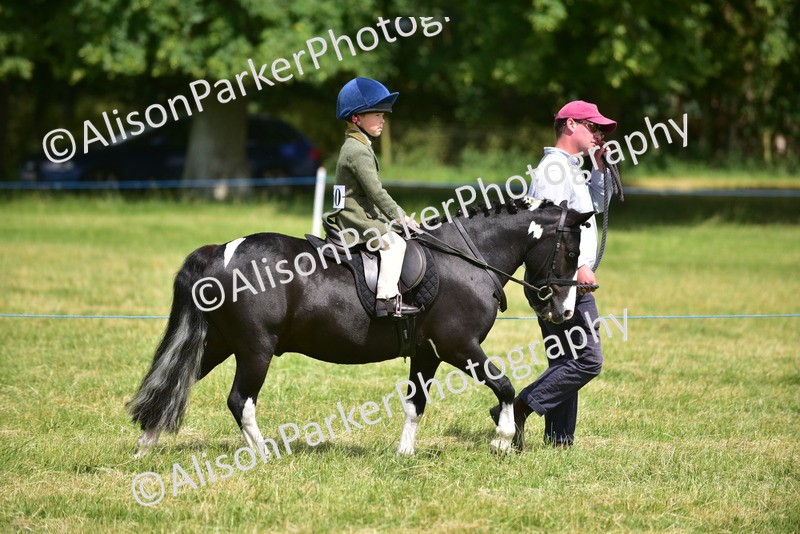 20260614-1351 - Class 11b - Lead Rein Pony (Plaited)