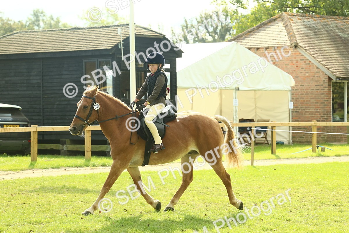 SBM_62506 - S62 - Foreign Breeds Ridden