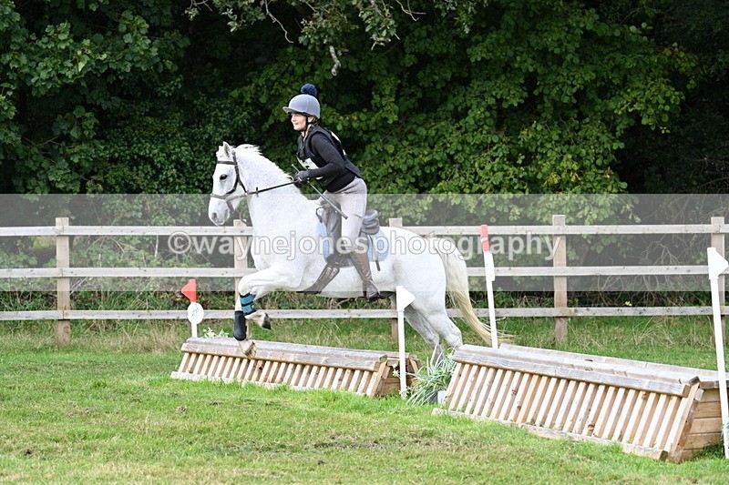 WJ7_7953 - 40cm Time 10:49 to 11:18