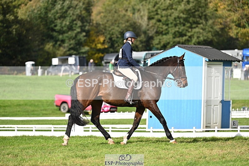 251024A-135008-12252 - D-366-Blythe.Jopling