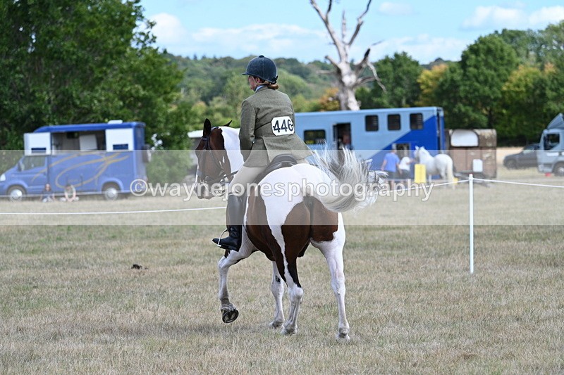 WJ7_7245 - Class 14 Ridden Coloured