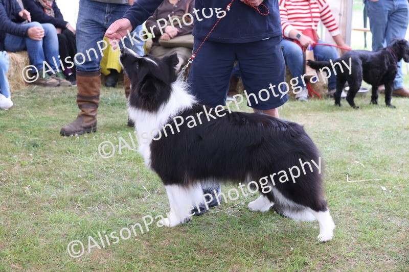 20250607-0302 - Class 8 - Best groomed