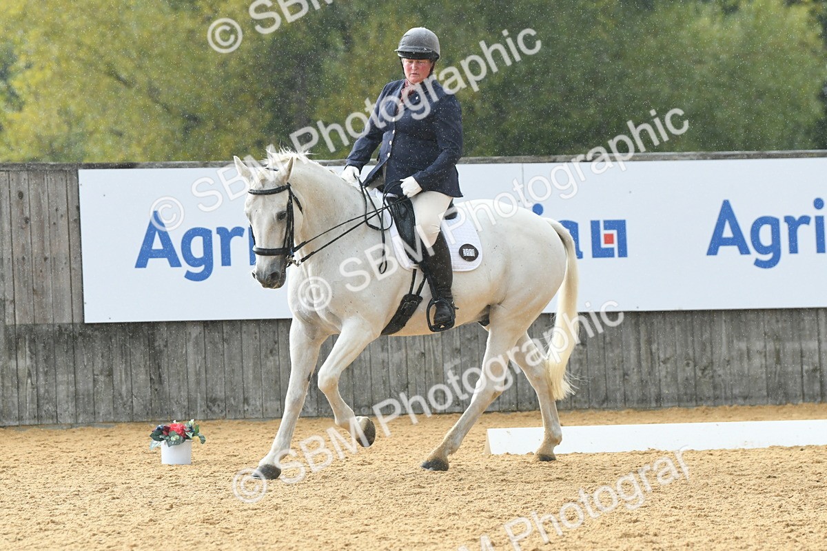 SBM_11135 - D28 Elementary Taster Elementary 42