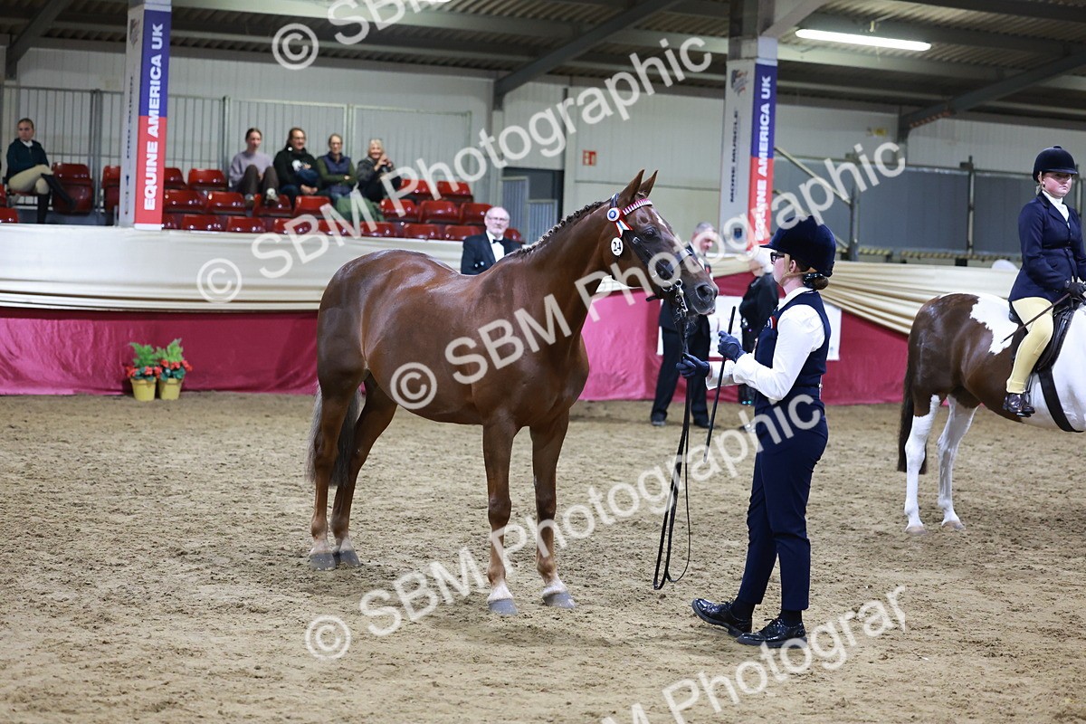 SBM_21232 - Class R - Veteran Champ