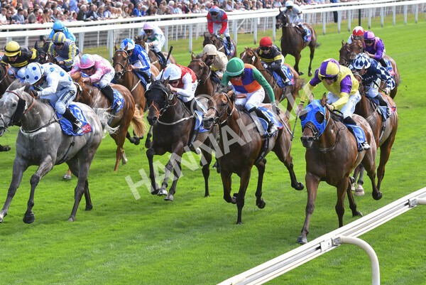 yr17082022r1-053 - Race 1 1.50pm Sky Bet & Symphony Group Stakes