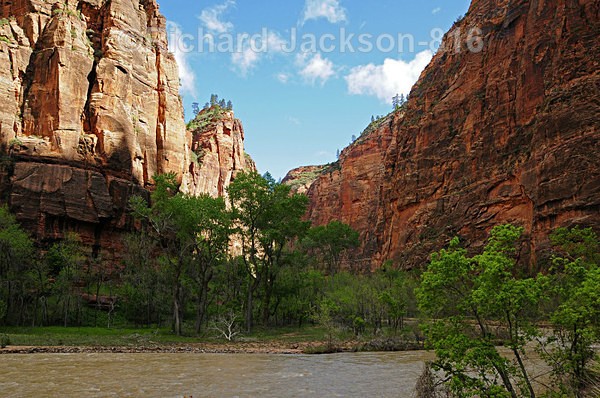 Zion Valley - Zion National Pk.- 2011