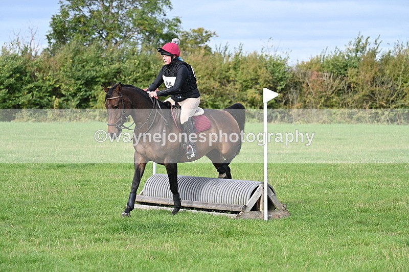 WJ7_8281 - 60cm Pairs