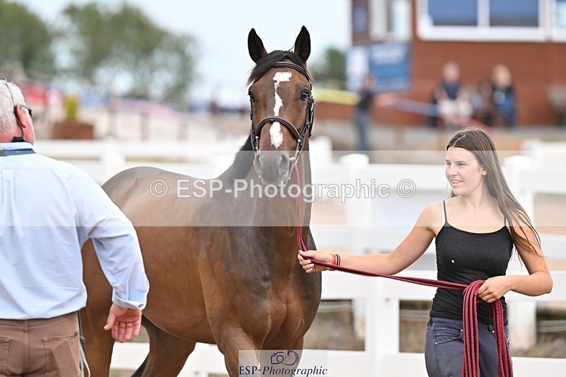 250716-163427-02679 - Trot Up 4.30 to 5.00