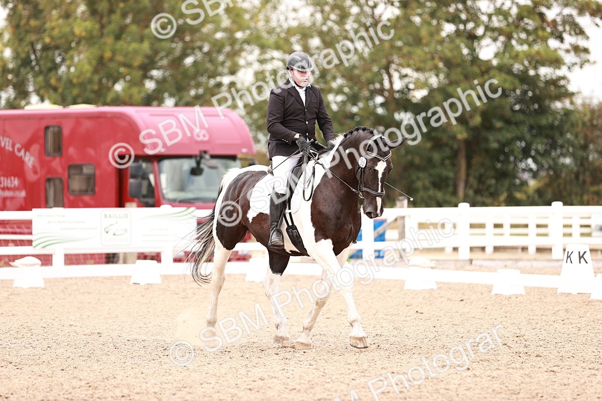 SBM_06385 - Class 37 - Novice 5