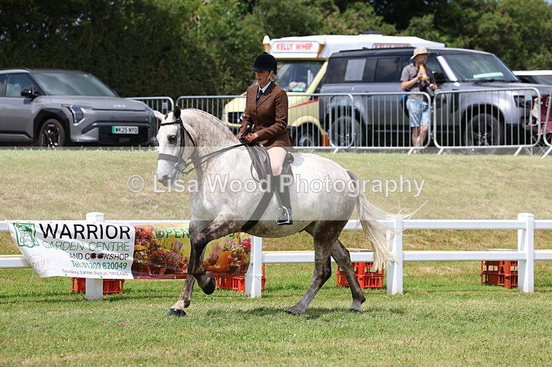 3E7A1969 - Class 10: Open Cob