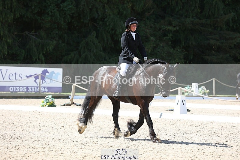 230811-120349-00979 - Cls 1 Prelim Bronze 11.10 to 12.35 break