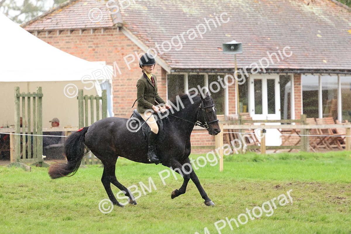 SBM_69706 - S62 - Mountain & Moorland Ridden Large Breeds