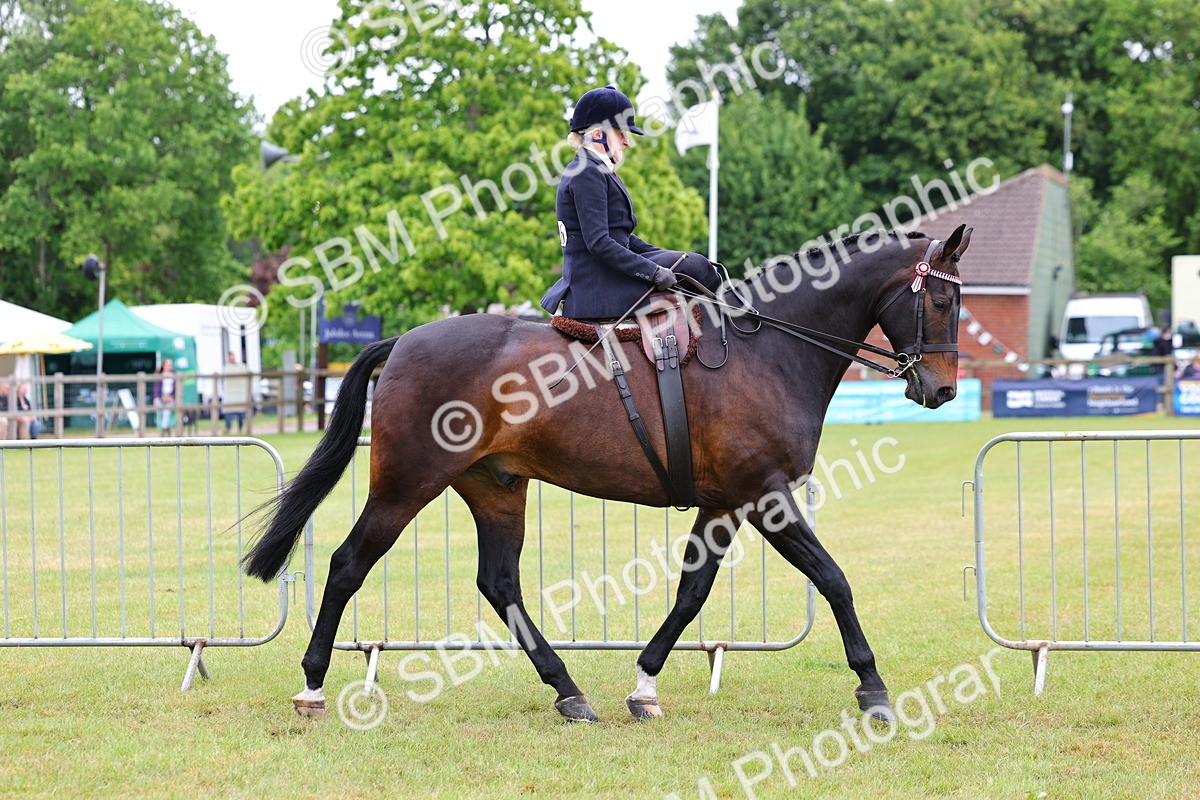 SBM_02811 - Class 9-11 Side Saddle including LIHS Rising Star Ladies Show Horse