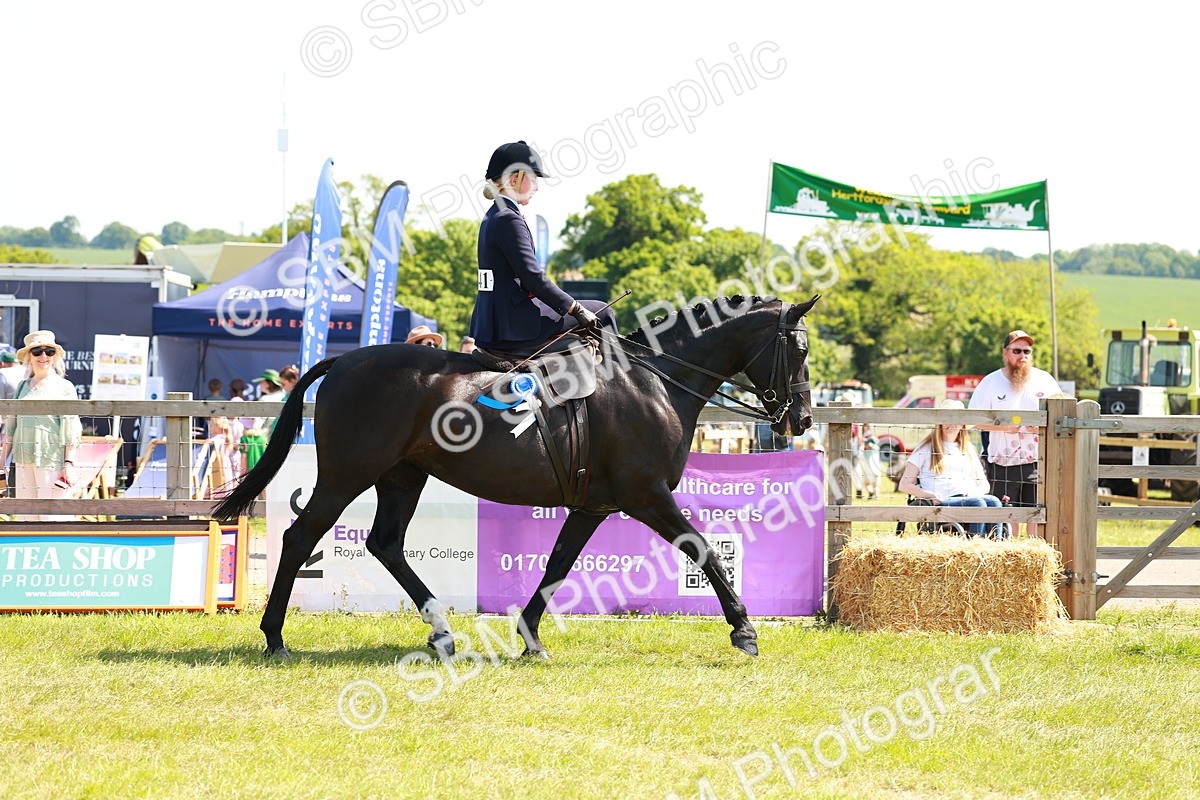 SBM_13477 - Class 70-71 - Side Saddle