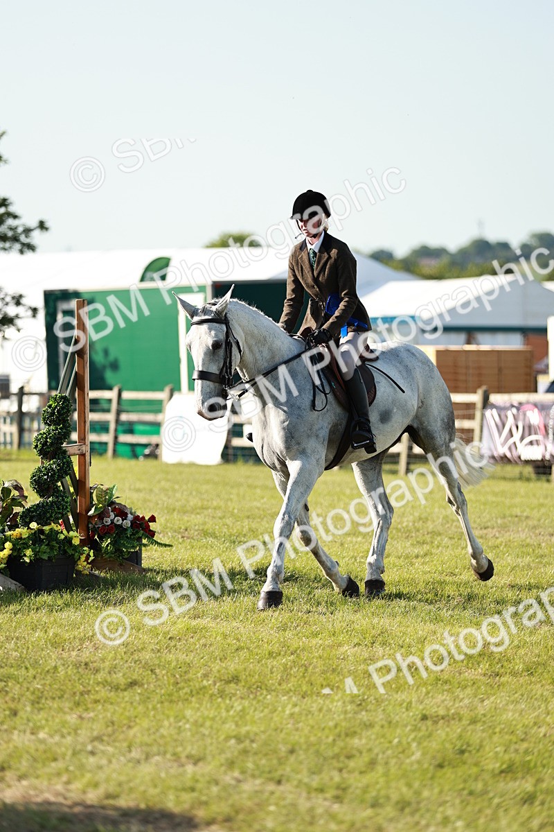 SBM_20098 - Class 115-116 - LIHS BSHA Rising Star Working Hunter & Show Horse