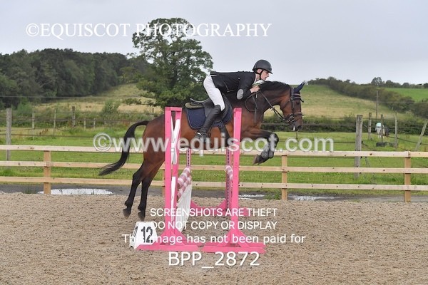 BPP_2872 - CLASS 2 Club/ Unaffiliated 80cms Open