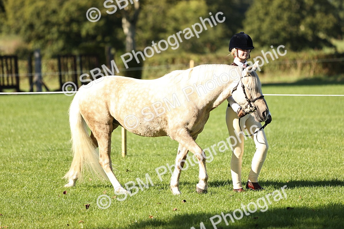 SBM_15842 - S1 - TSR in Hand Horse & Pony Showing