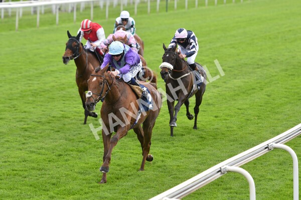 yr22052021r2-26 - Race 2 2.40pm William Hill Brontë Cup