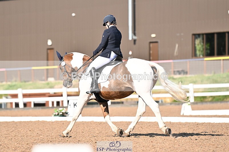 240816A-164813-06269 - 307-Rachel.Cook-Tiger.lily.vi