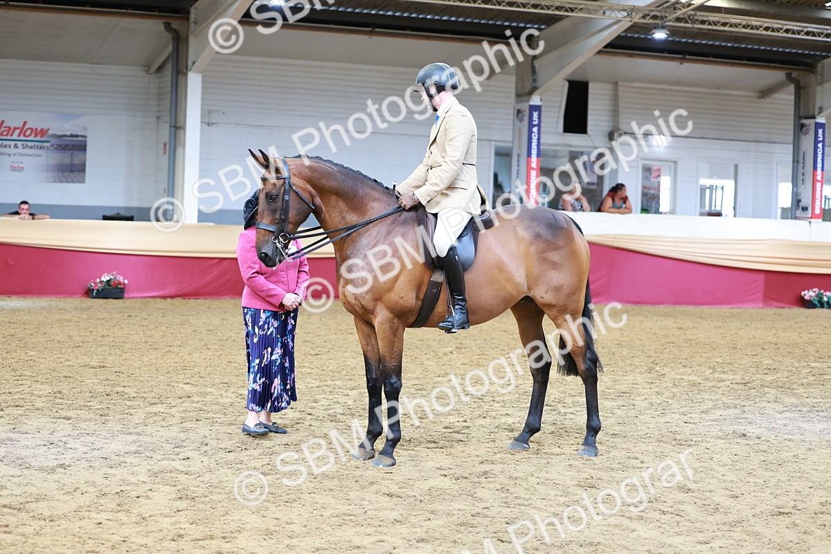 SBM_14920 - Class 108 - Ridden Retired Racehorse