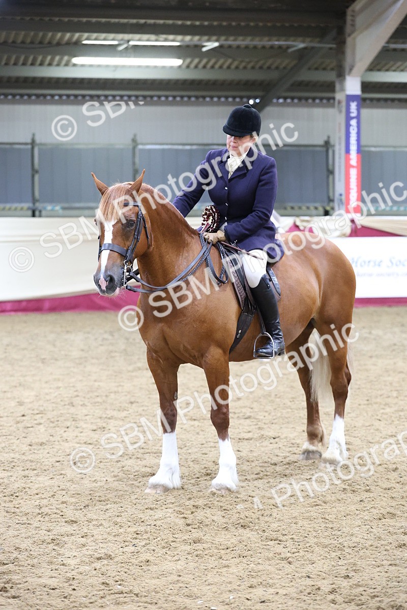 SBM_23942 - Supreme Final - Ridden Champ